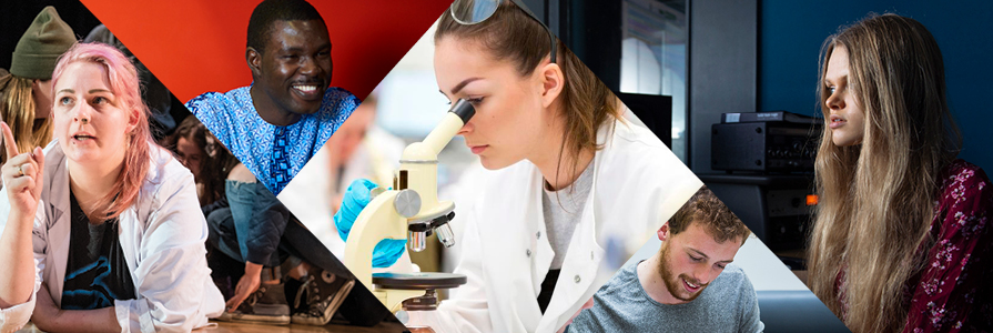 Banner image for Publications site area