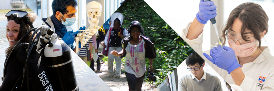 Banner image for Research site area