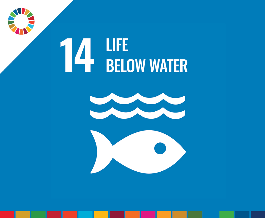 SDG 14: Life Below Water (illustrated image of fish in water)