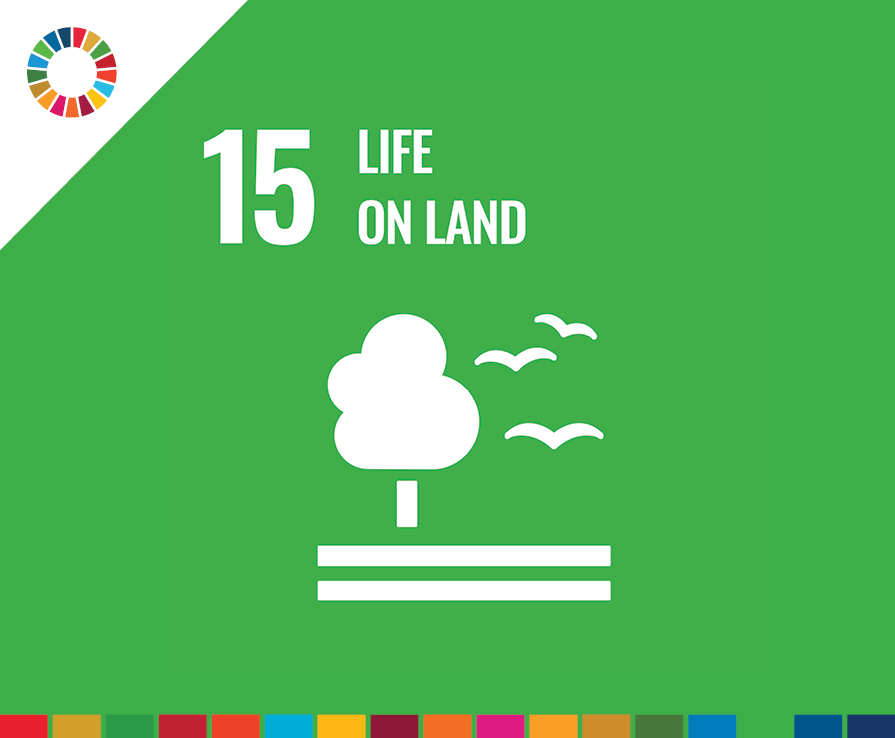 SDG15: Life on Land
