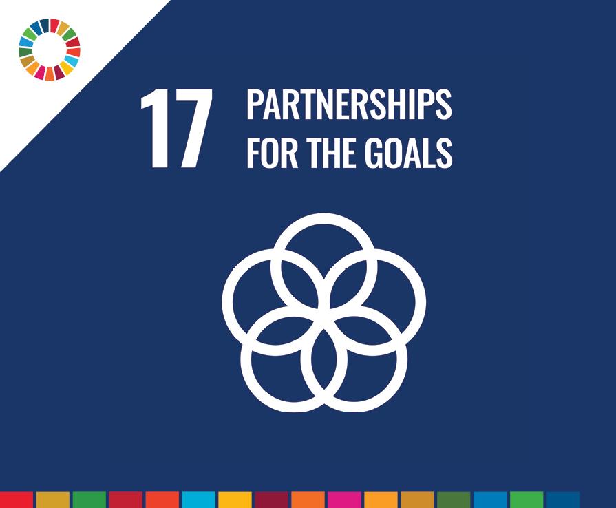 SDG17: Partnerships for the Goals