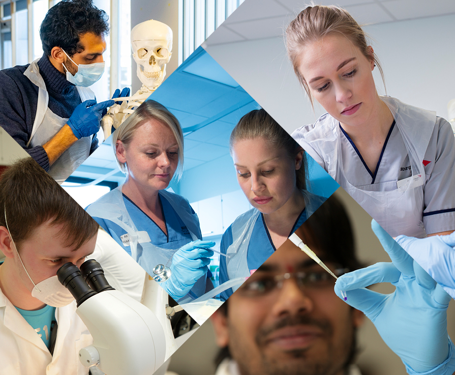 Photocollage of students in health education scenarios.