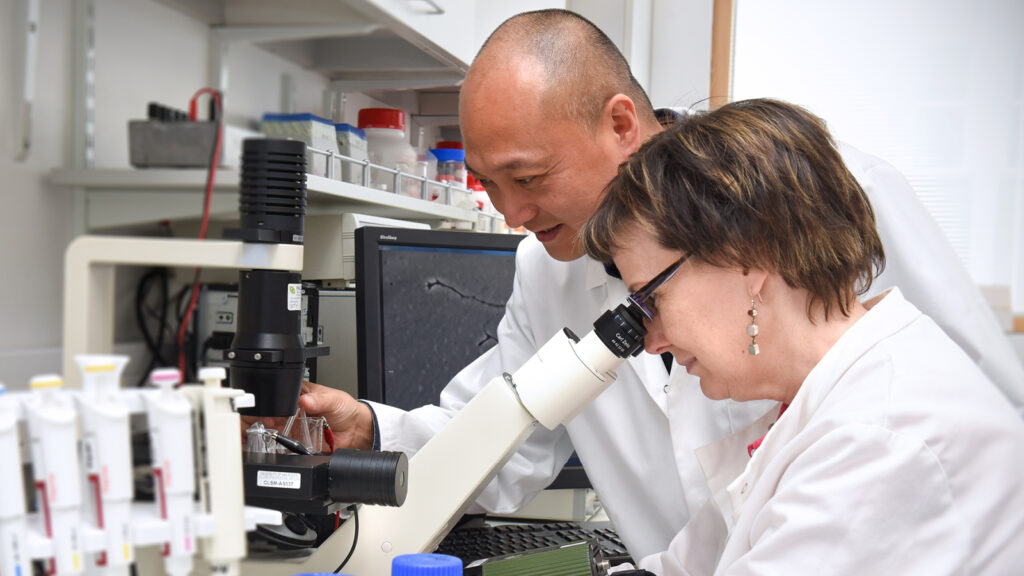 £2.4m boost for collaborative research