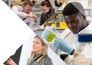 Photocollage of researchers in different environments such as: workshops, labs and conferences.