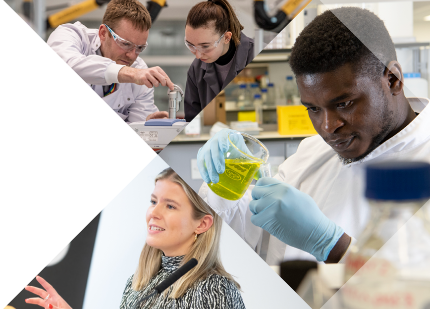 Photocollage of researchers in different environments such as: workshops, labs and conferences.