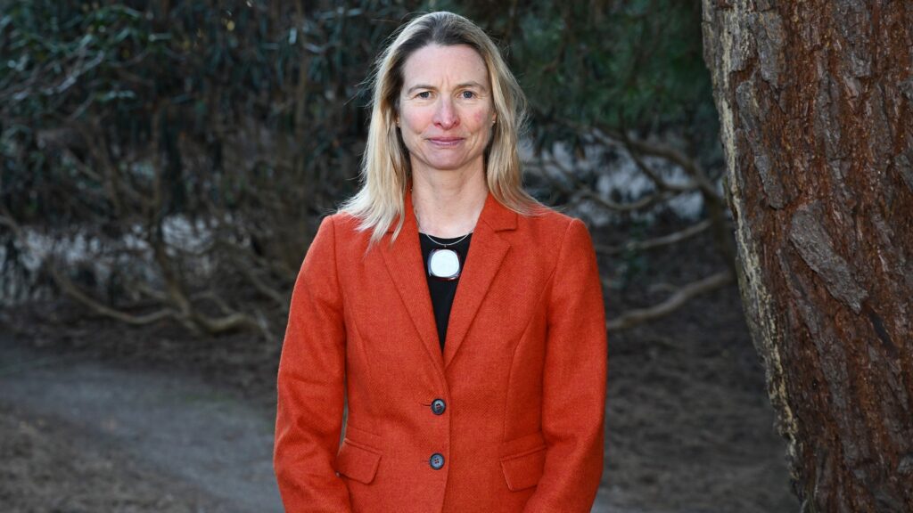 Appointment of new CEO