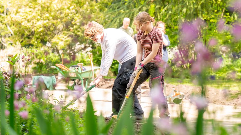 Regenerative Sustainability – a vision for a greener future