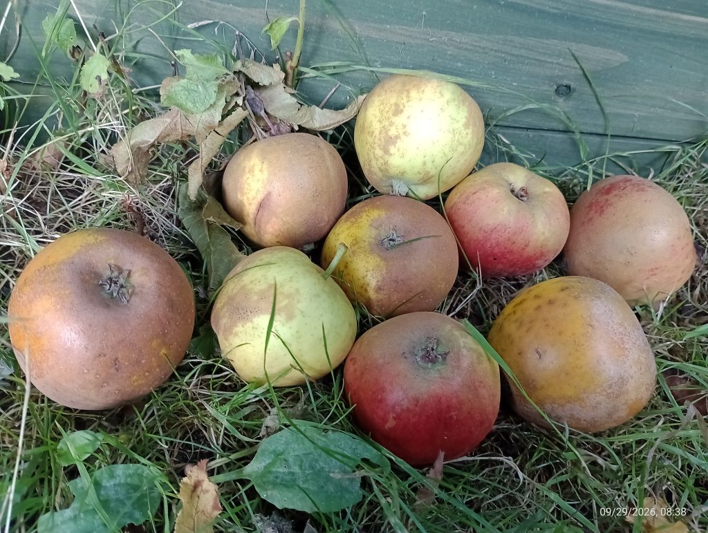 Challenging Perceptions to Reduce Food Waste