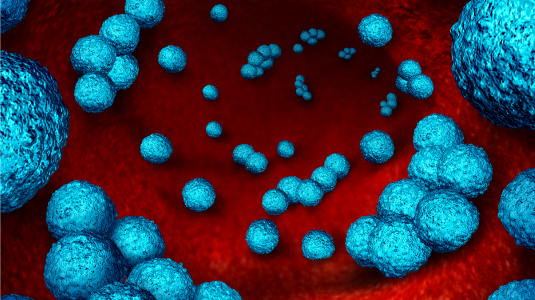 Scottish universities battle to save us from antimicrobial Armageddon