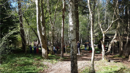 Forest Kindergarten